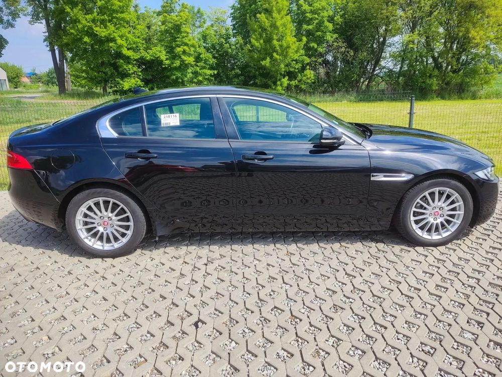 Jaguar XE E-Performance Pure - 3