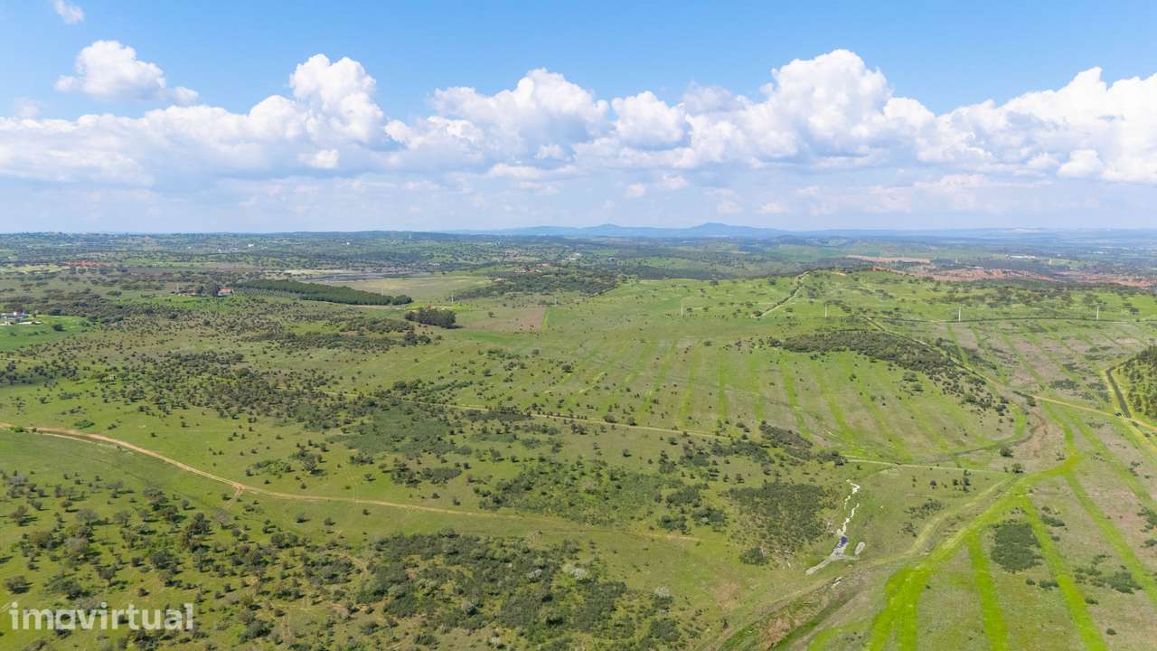 Herdade da Mancha – Ativo Rural de Grande Escala com 149 Hectares no A - Grande imagem: 3/13