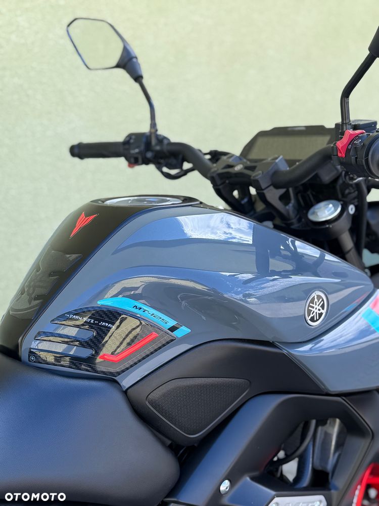 Yamaha MT - 17