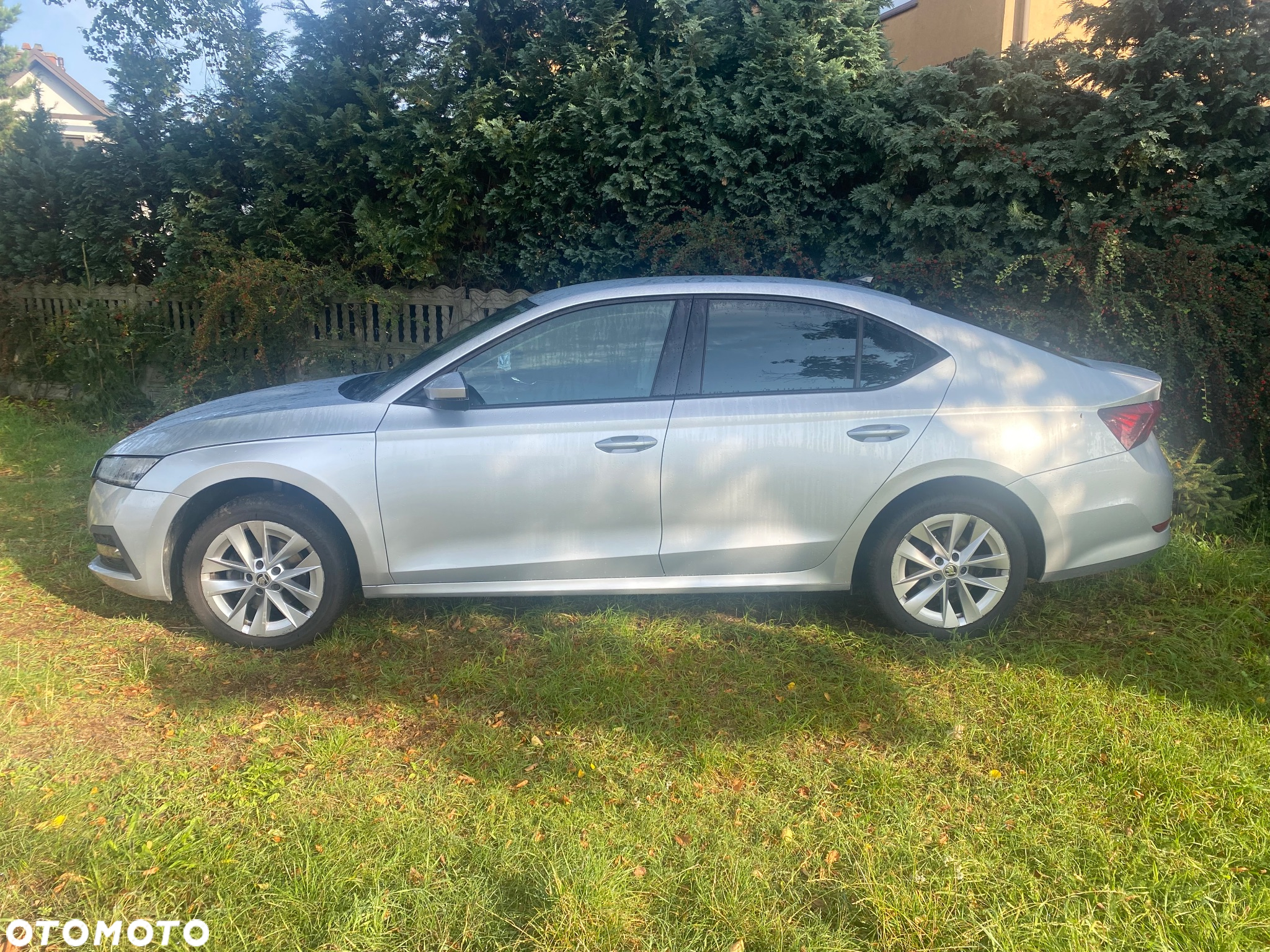 Skoda Octavia 1.5 TSI ACT Active - 3