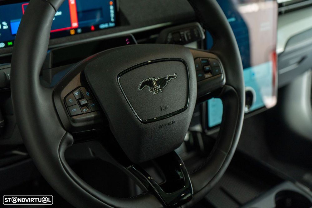 Ford Mustang Mach-E Standard - 8