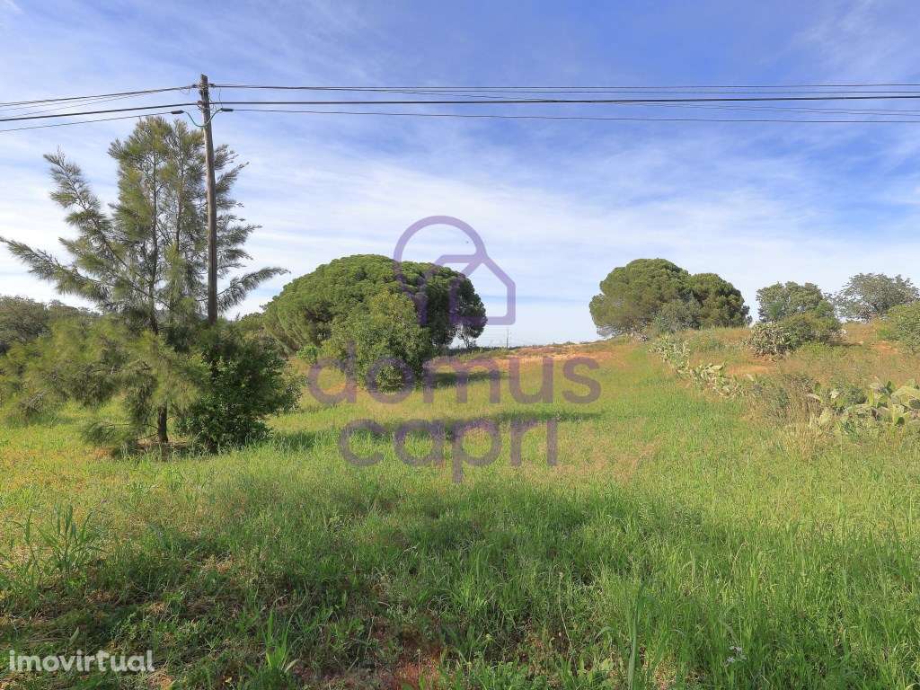 Terreno Urbanizável em Quatrim - Moncarapacho - Grande imagem: 3/17