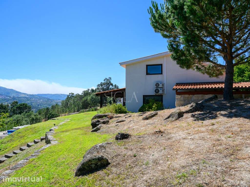 Quinta Turística na margem do Rio Douro - Grande imagem: 5/60
