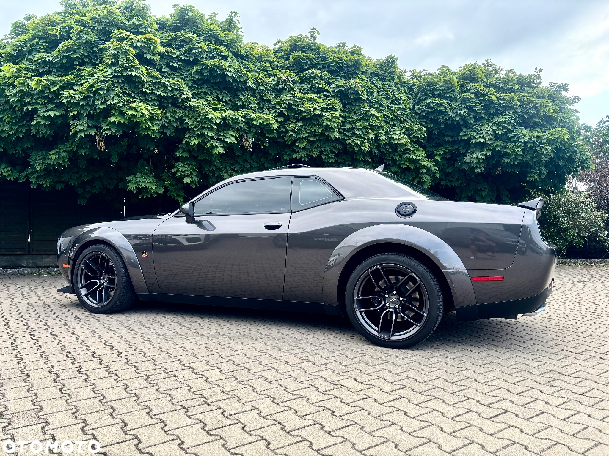 Dodge Challenger 6.4 Scat PackWidebody - 13