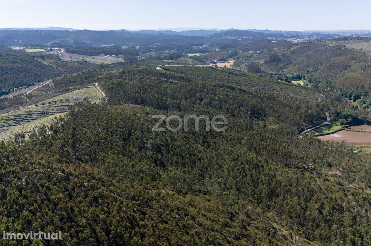 Terreno rústico - 35.600m2 - Cedões - Trofa - Grande imagem: 4/15