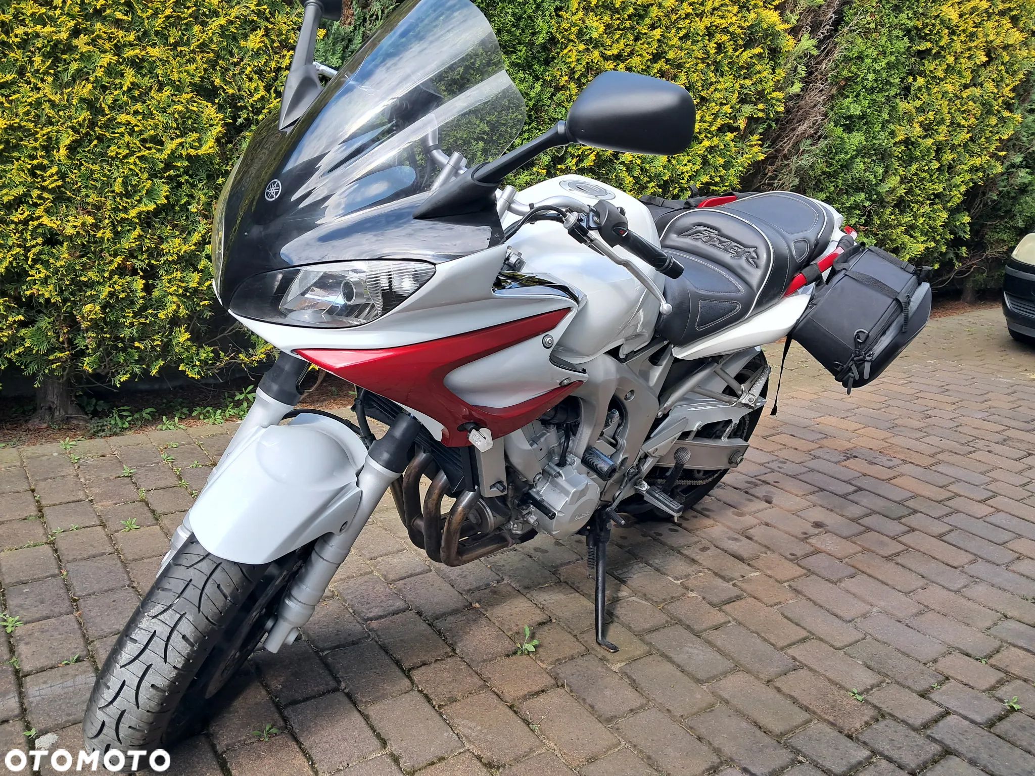 Yamaha FZ6 - 1