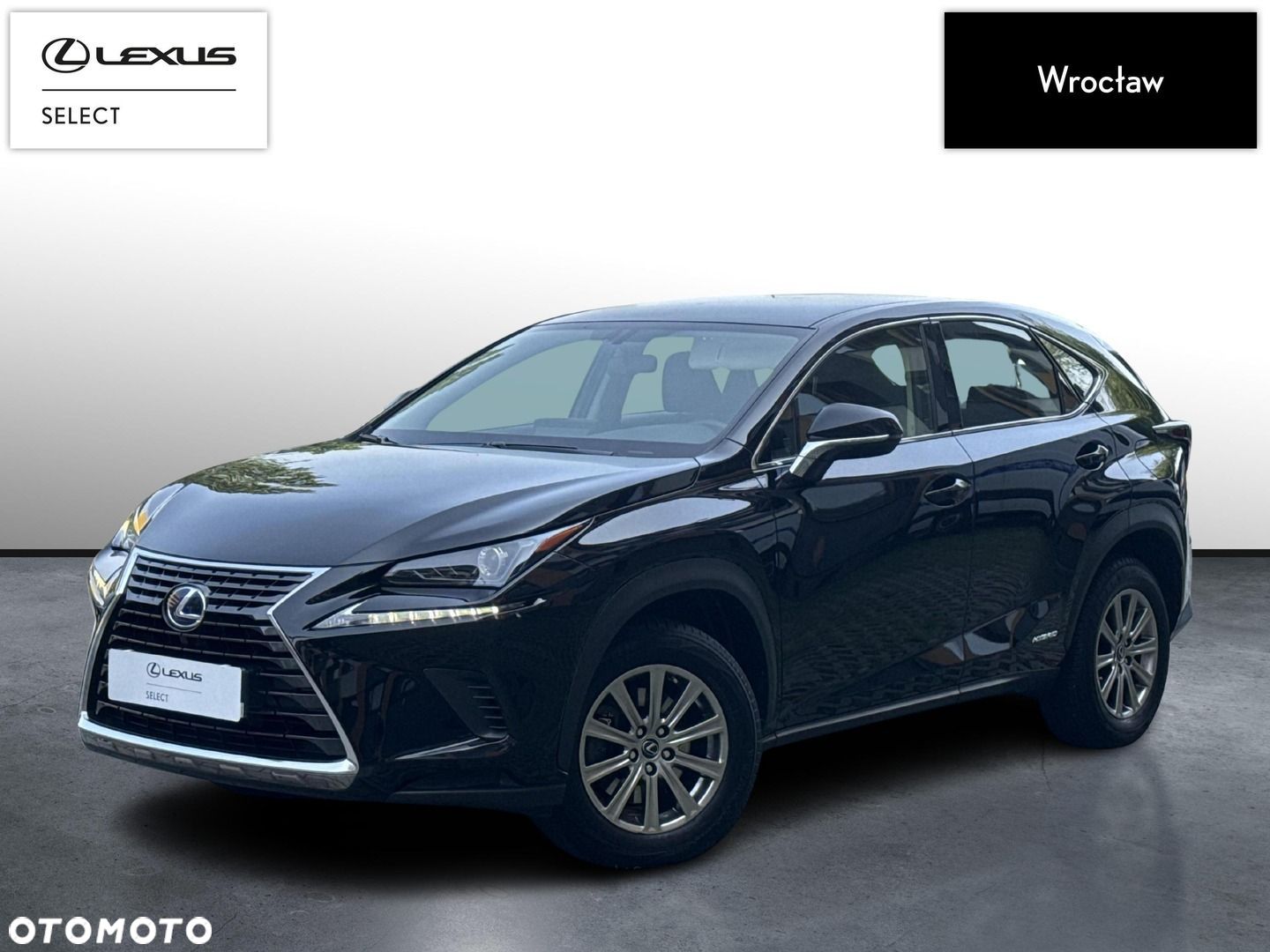 Lexus NX - 1