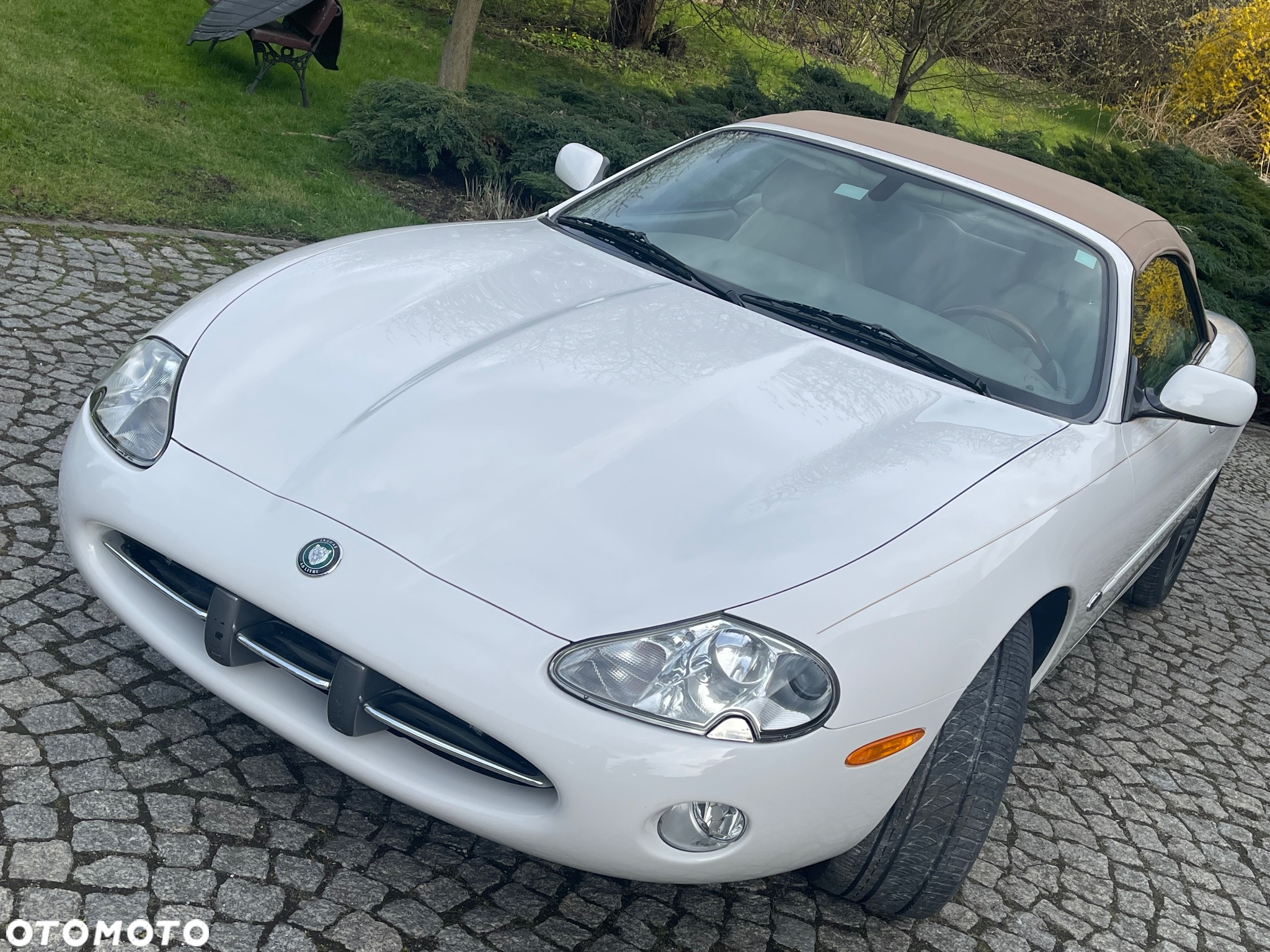 Jaguar XK8 4.0 - 13