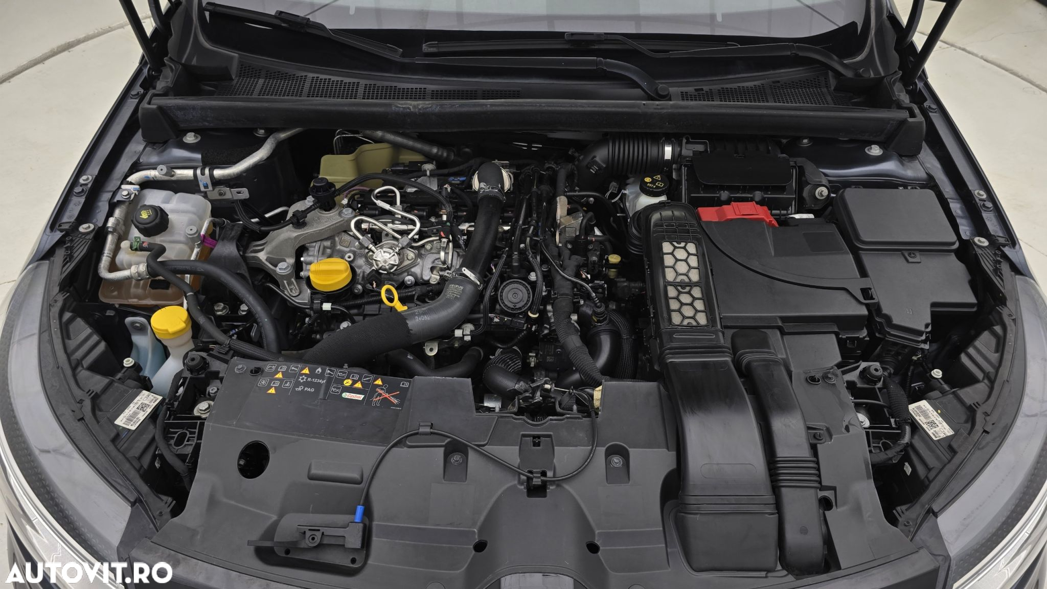 Renault Megane - 24
