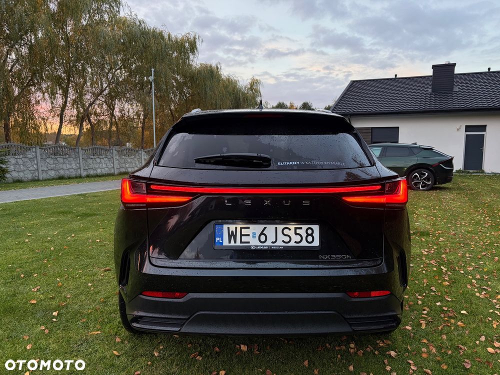 Lexus NX - 6