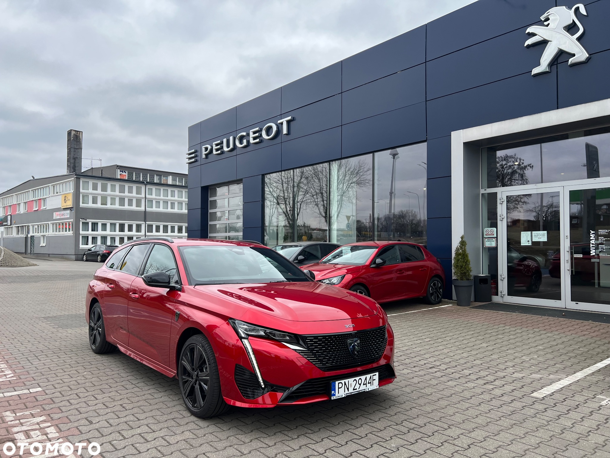 Peugeot 308 1.2 mHEV GT S&S e-DCS6 - 2