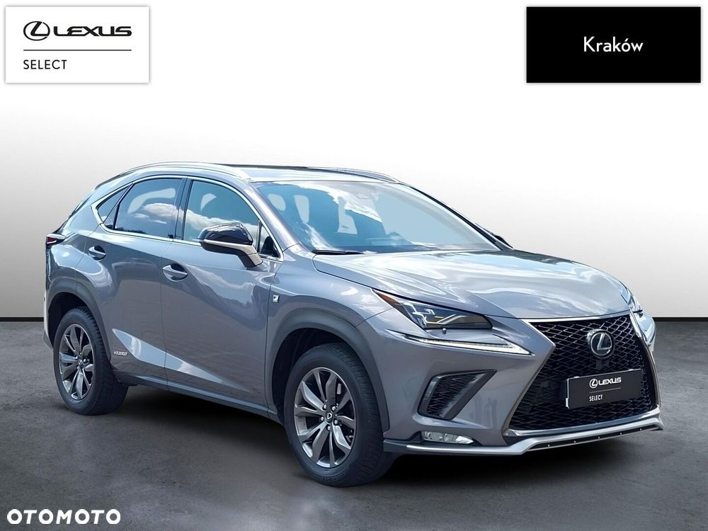 Lexus NX 300h F Sport Edition AWD - 7