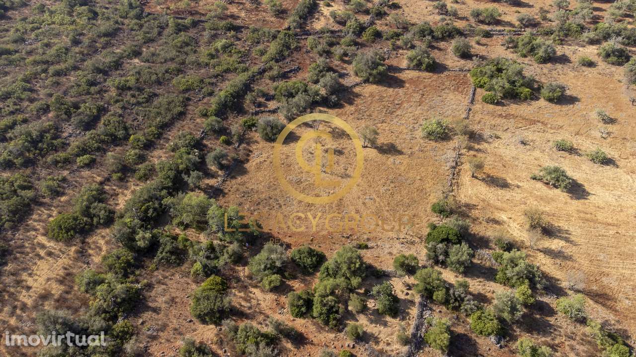 Terreno rústico de 1.2 hectares em Alte, Loulé - Grande imagem: 3/16