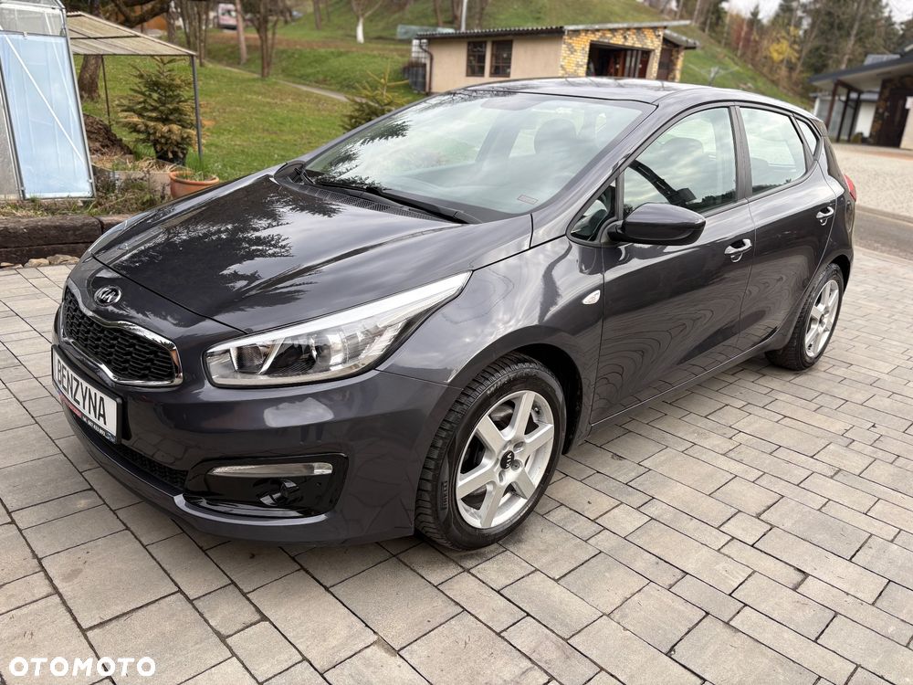 Kia Ceed - 1