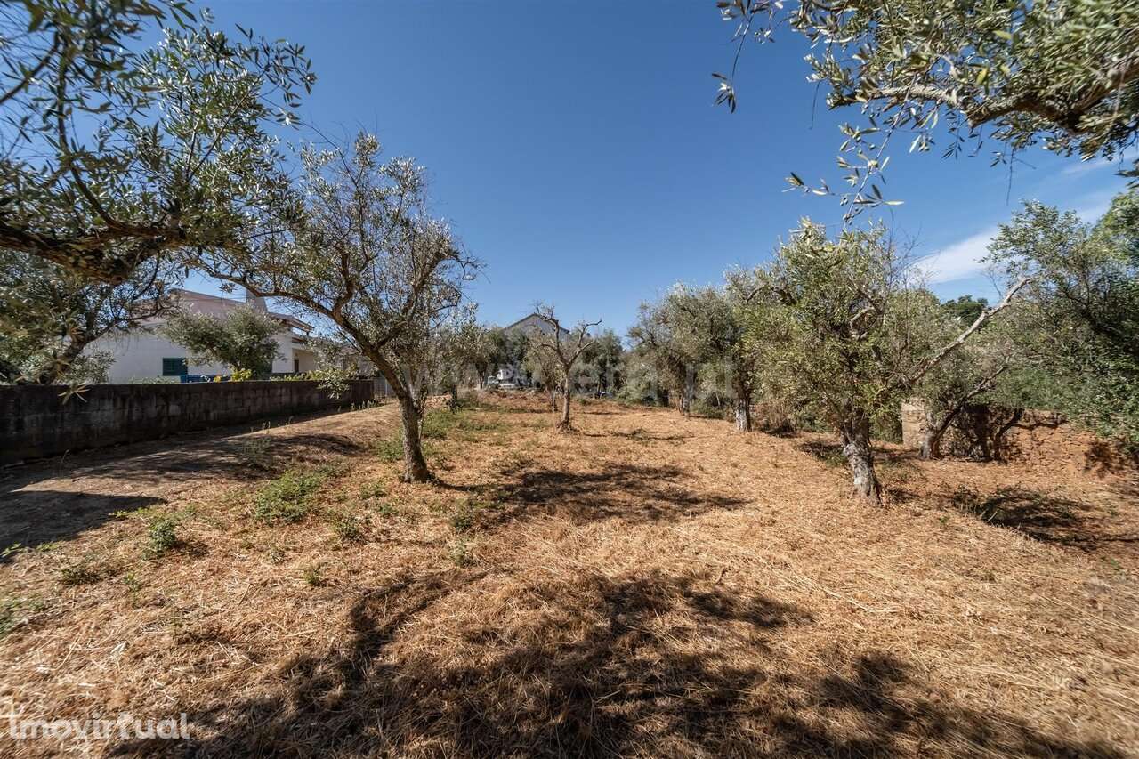 Lote / Covilhã, Dominguiso - Grande imagem: 5/10