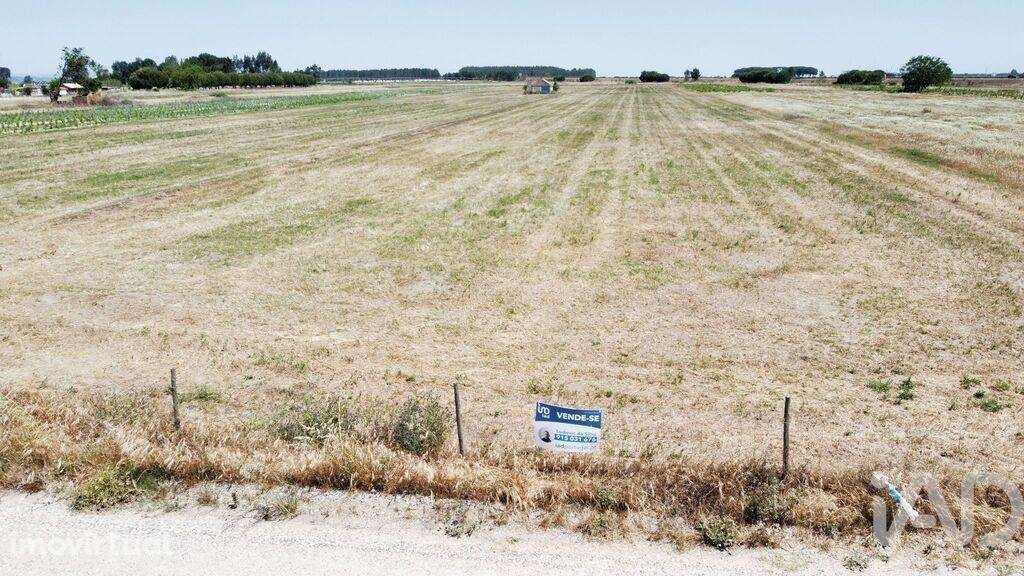 Quinta T2 em Almeirim de 100,00 m2 - Grande imagem: 2/15