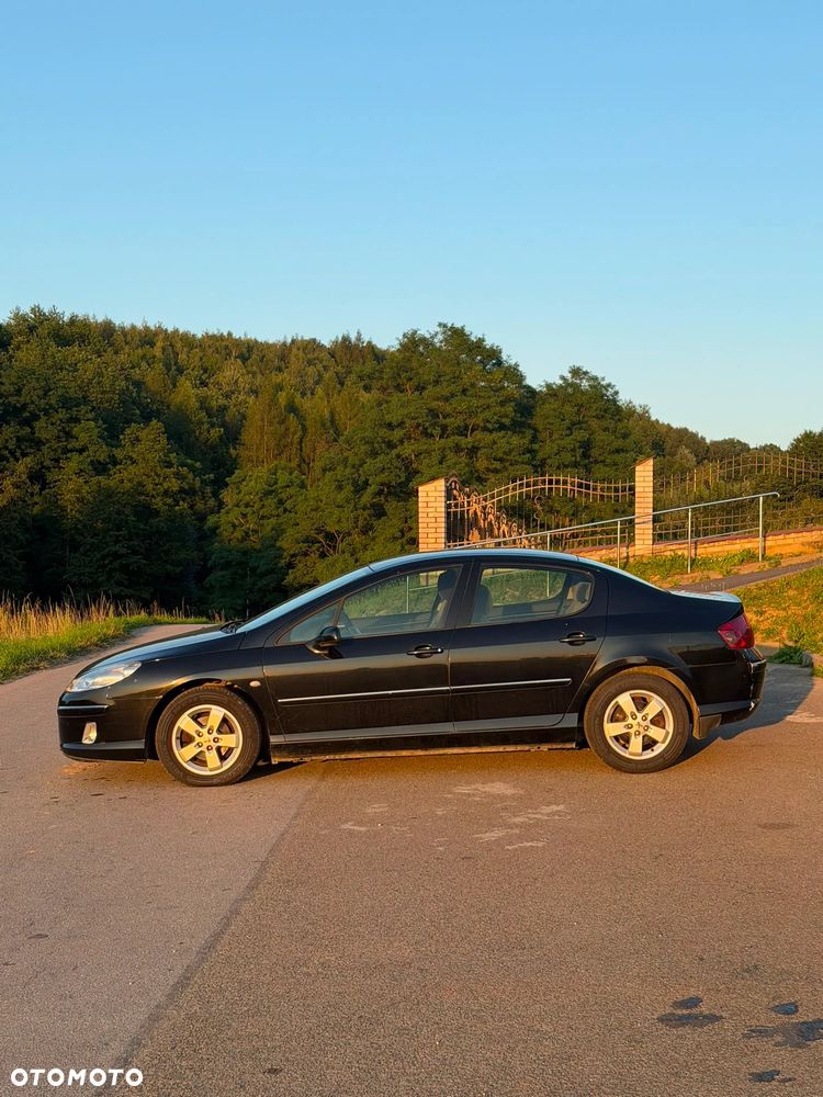 Peugeot 407 - 7
