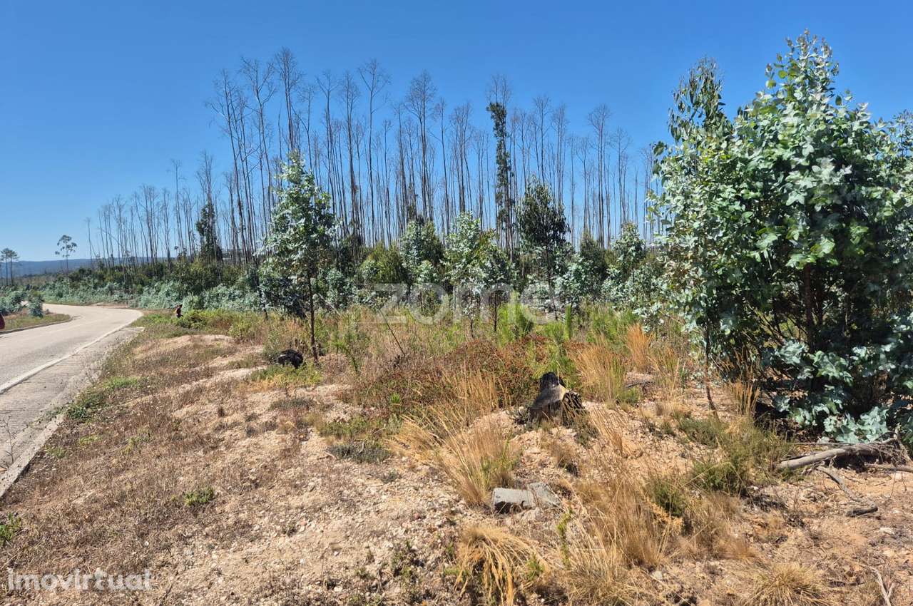 Terreno Rústico na Caranguejeira - Grande imagem: 2/22