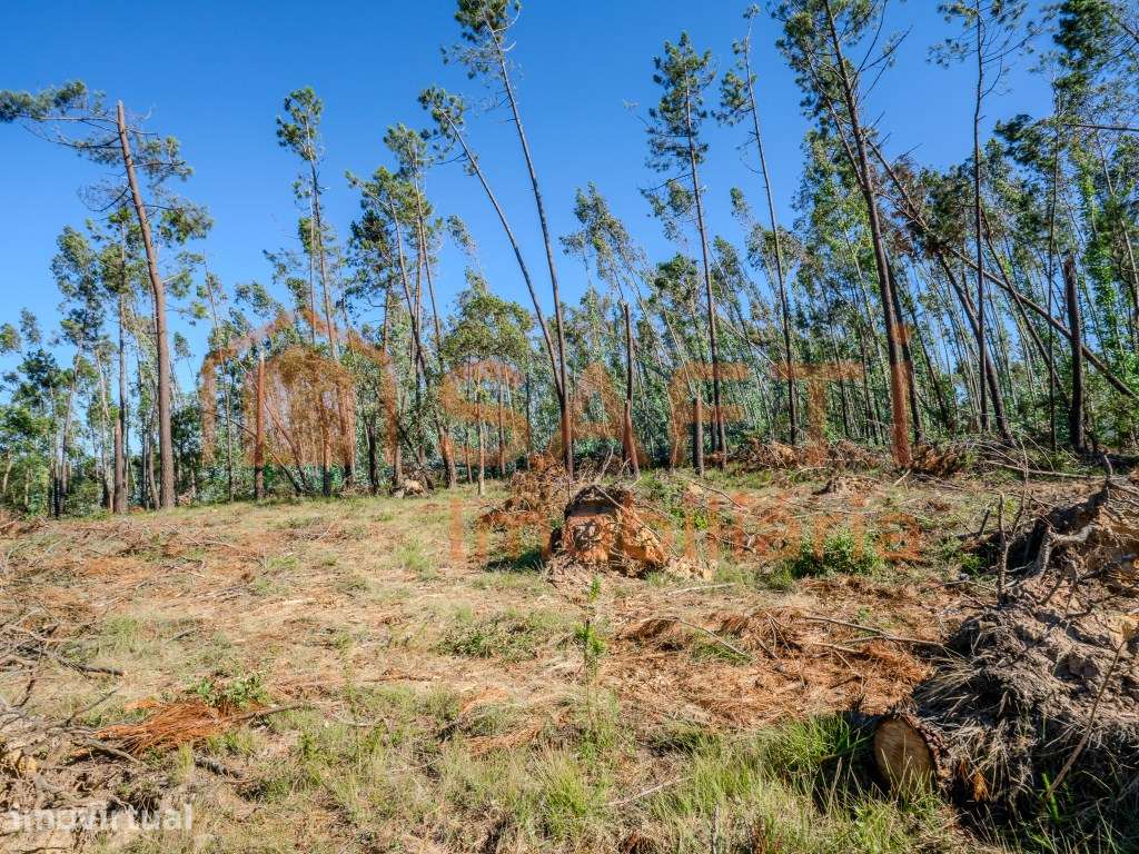 Terreno para construção - Grande imagem: 5/12