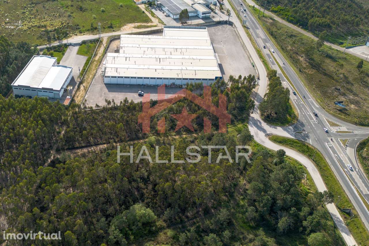 Terreno Industrial / Construção / Área Total 8.000 m2 / Índice de 0.7 - Grande imagem: 5/30