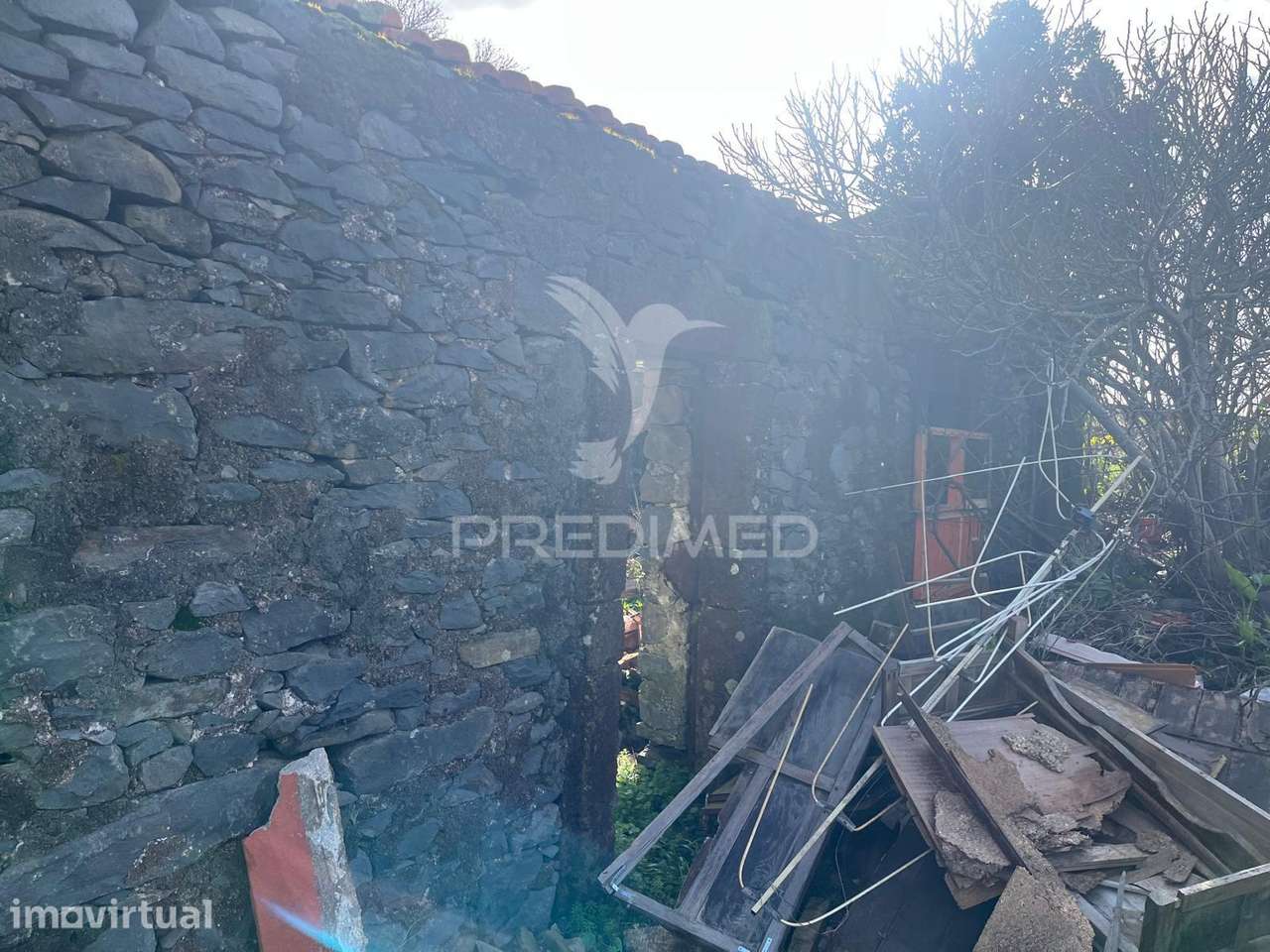 MORADIA TÉRREA E PALHEIRO AMBOS URBANOS COM TERRENO NA RAPOSEIRA-MA... - Grande imagem: 3/7