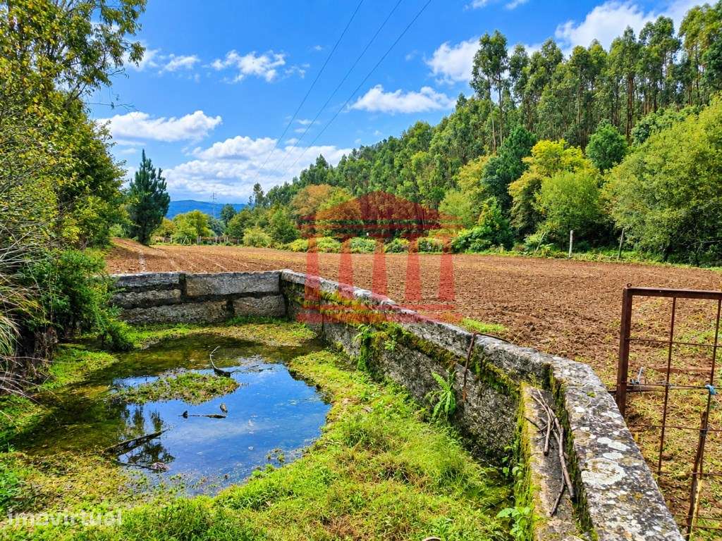TERRENO AGRÍCOLA PARA VENDA EM IGREJA NOVA - BARCELOS - Grande imagem: 4/4