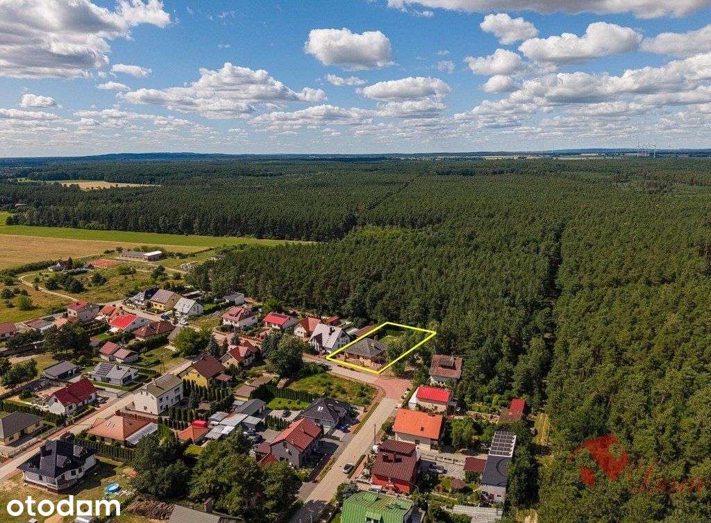 Budzyń | Komfortowy i zadbany dom przy lesie - Pełny obrazek: 4/20