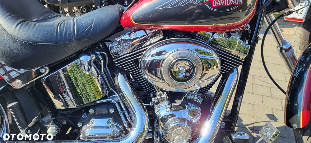 Harley-Davidson Softail Custom - 2