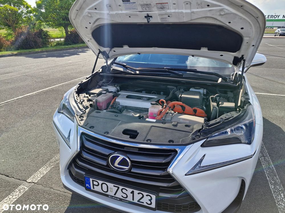 Lexus NX 300h Elite AWD - 40