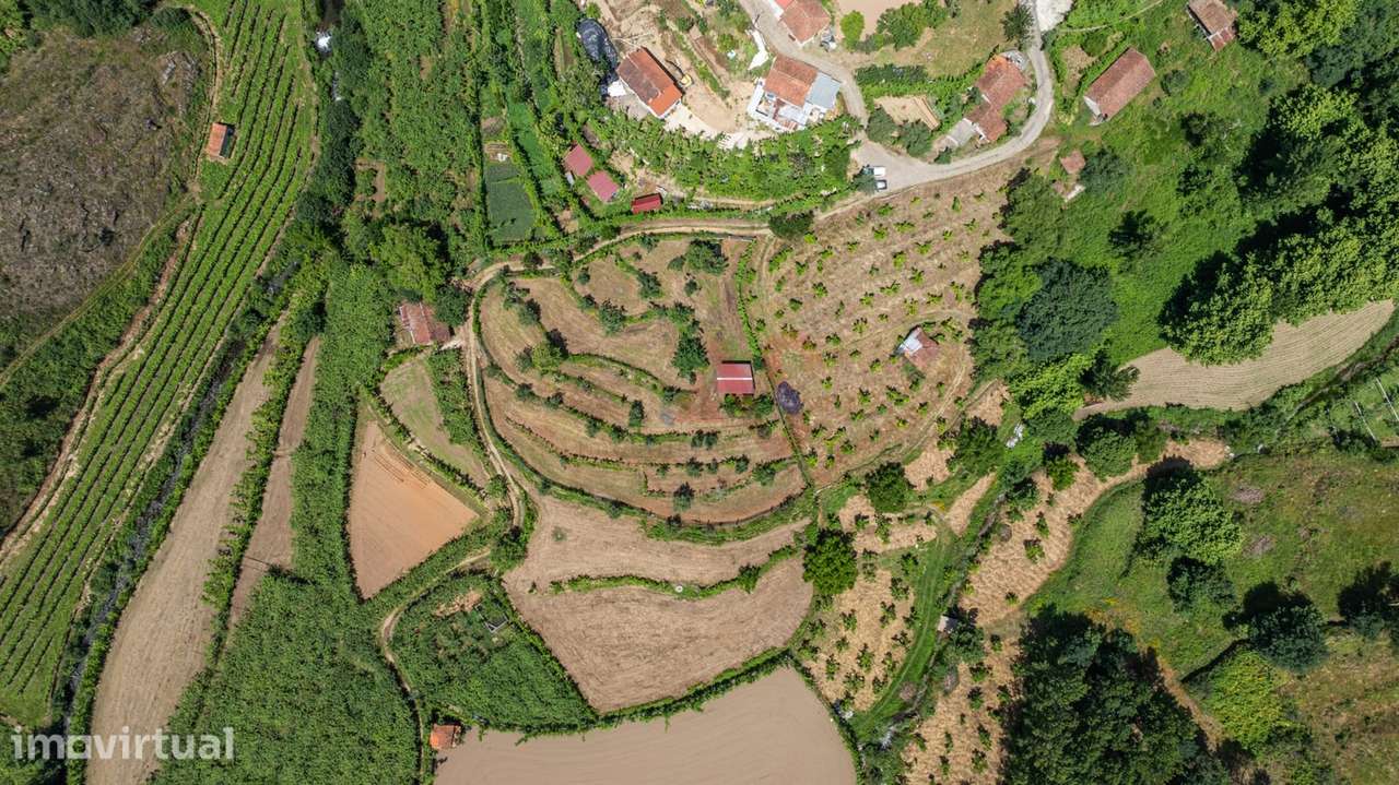 Terreno com 5.000 m² com Potêncial De Construção - Grande imagem: 3/8