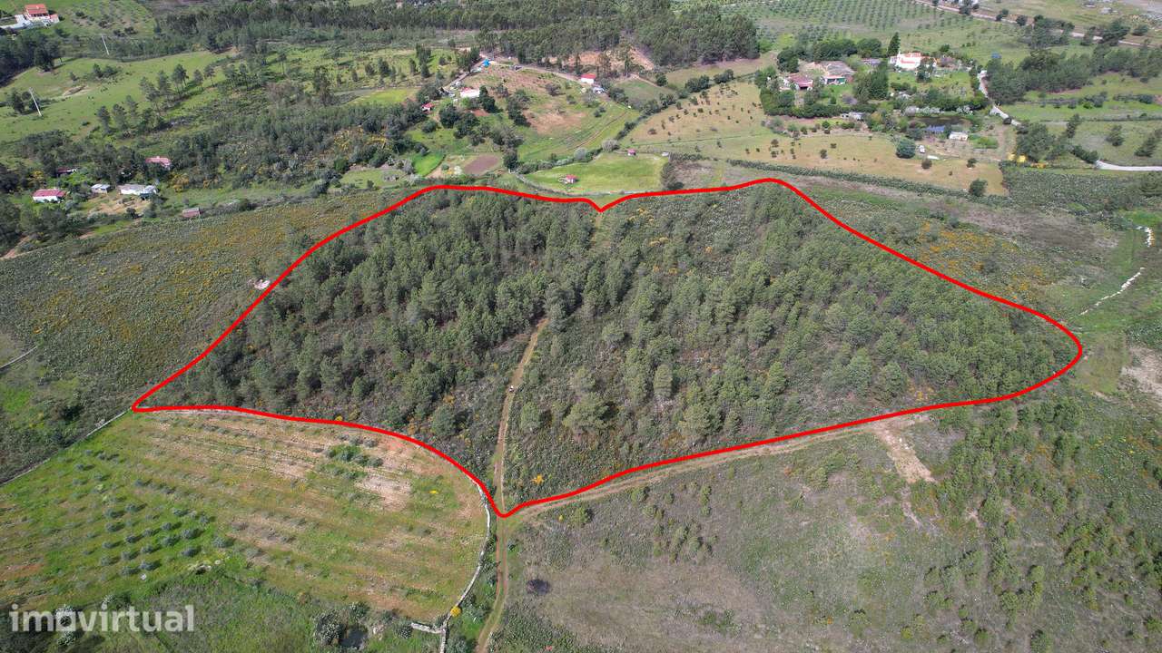 Terreno - Grande imagem: 2/6