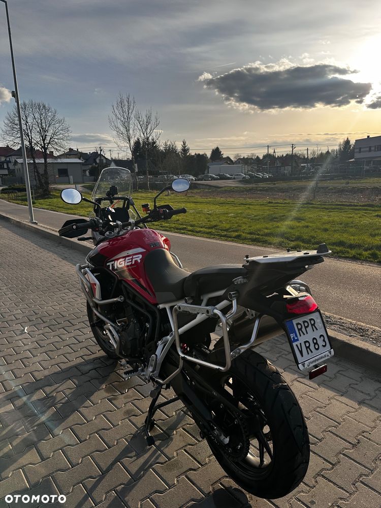 Triumph Tiger - 5