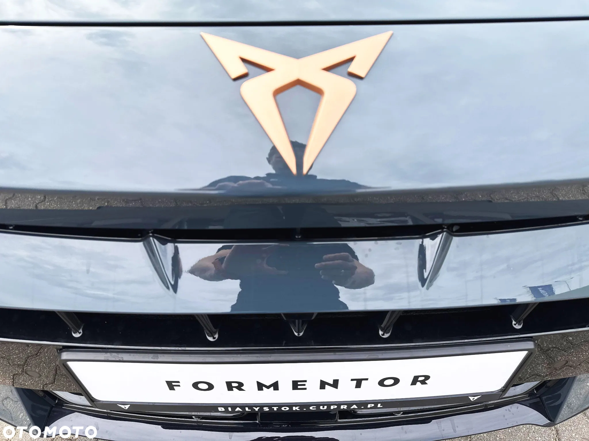 Cupra Formentor 1.5 TSI DSG - 19