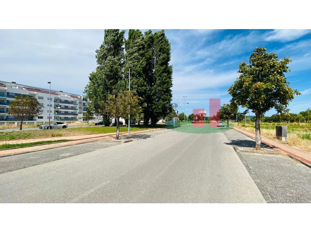 Lote Terreno Entroncamento para Moradia - Grande imagem: 5/23