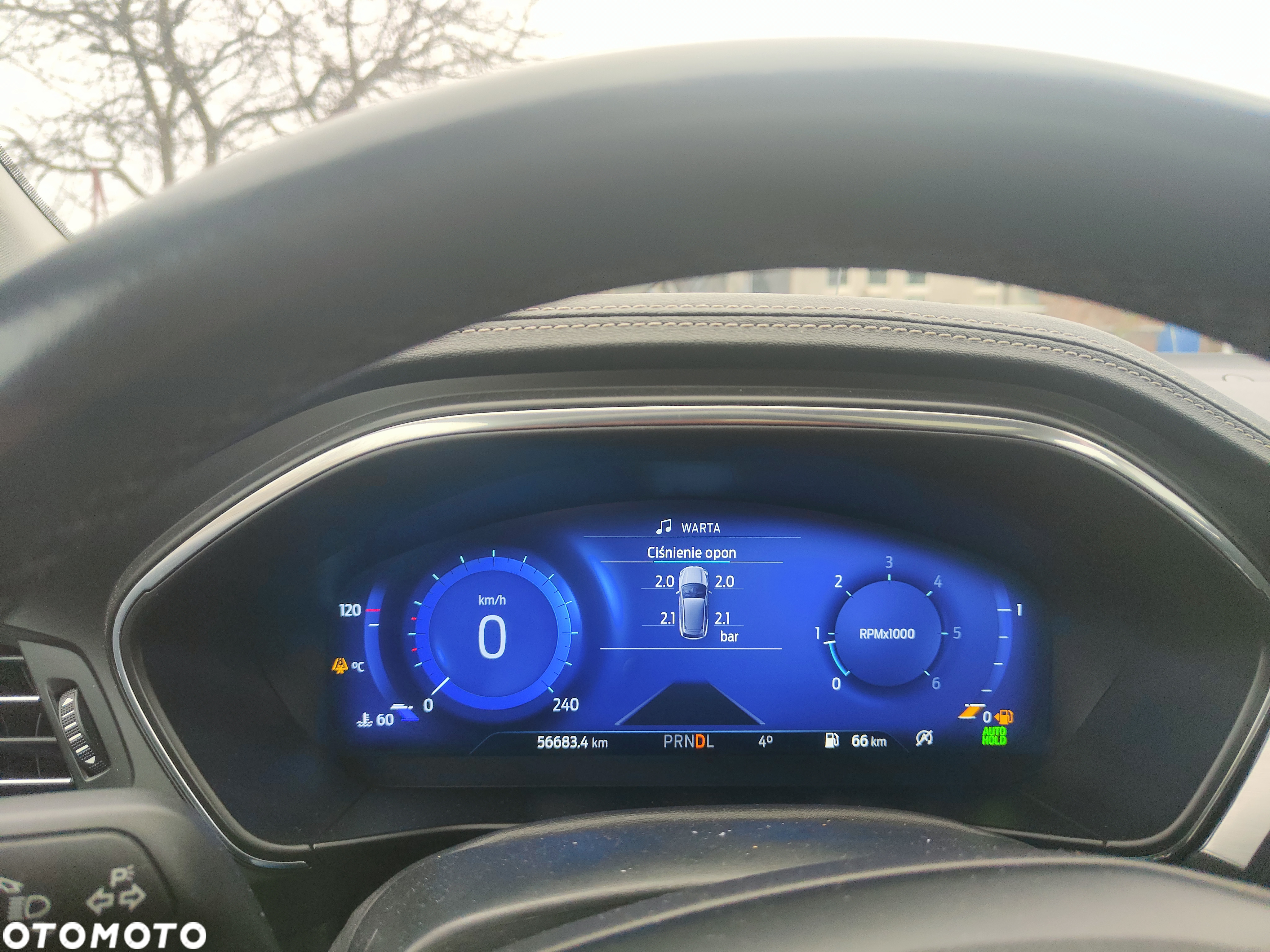 Ford Focus 2.0 EcoBlue Active Business - 22