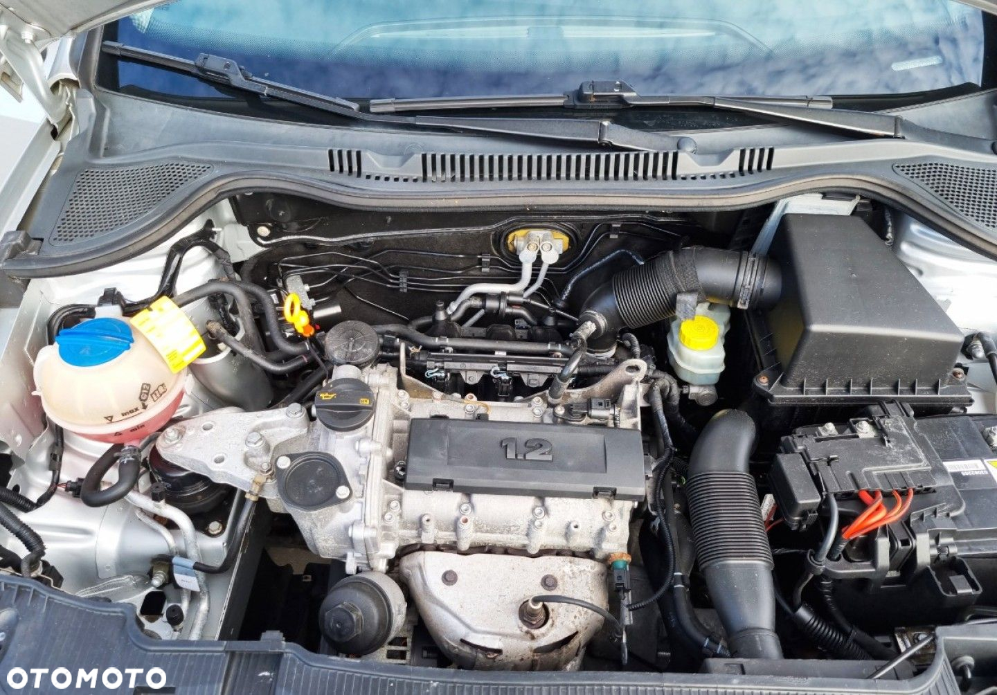 Seat Ibiza - 13
