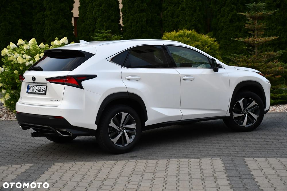Lexus NX 300 AWD Executive Line - 18