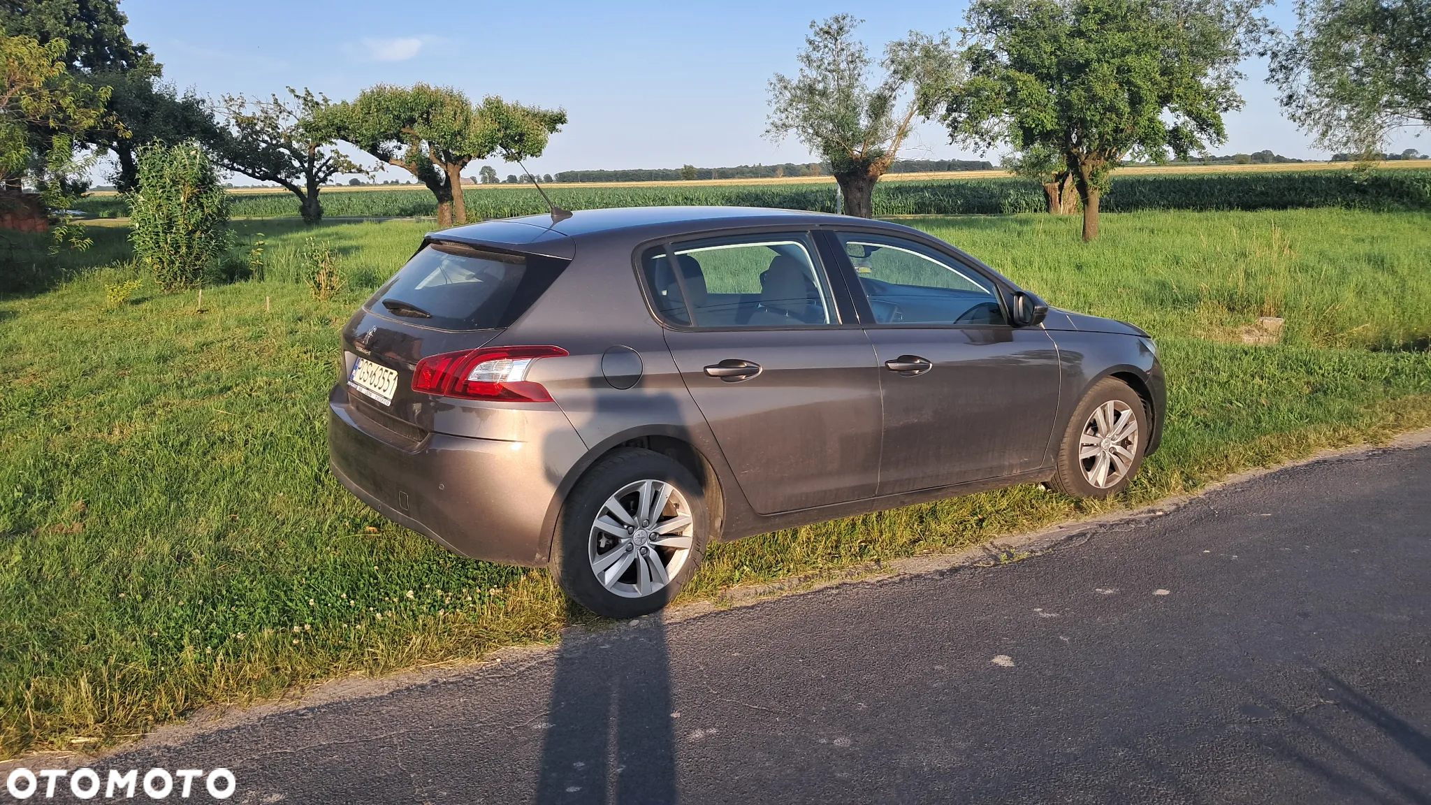 Peugeot 308 - 4