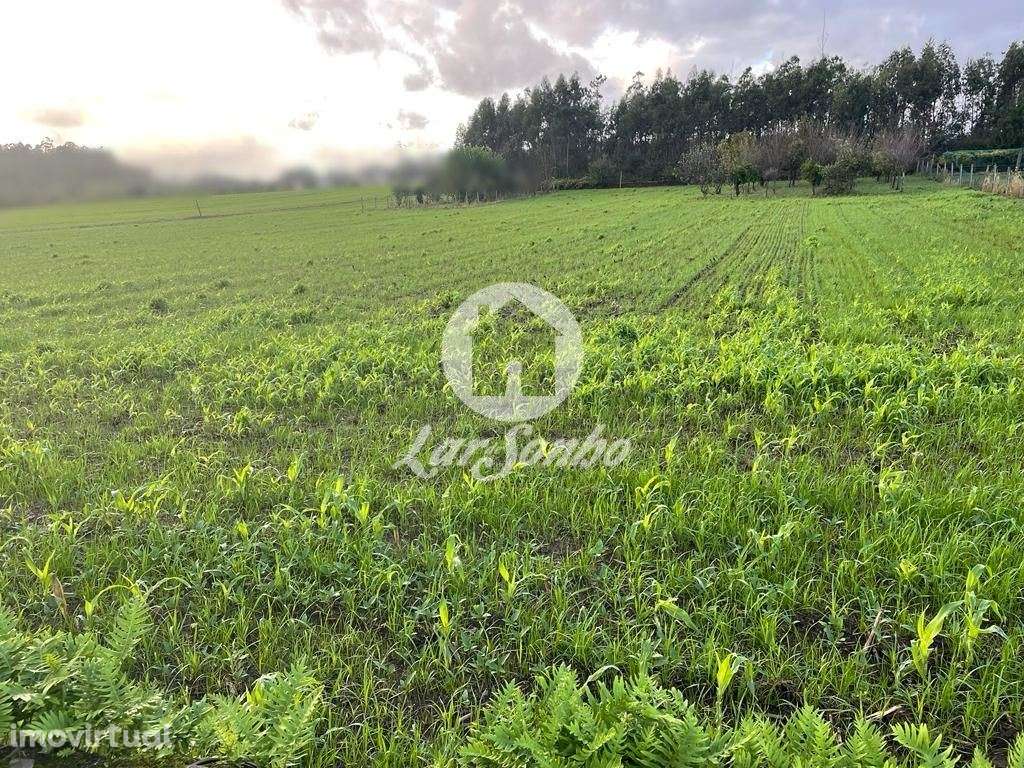 Terreno para construção com 1231,6m2 em Balazar, Póvoa de Varzim! - Grande imagem: 5/9