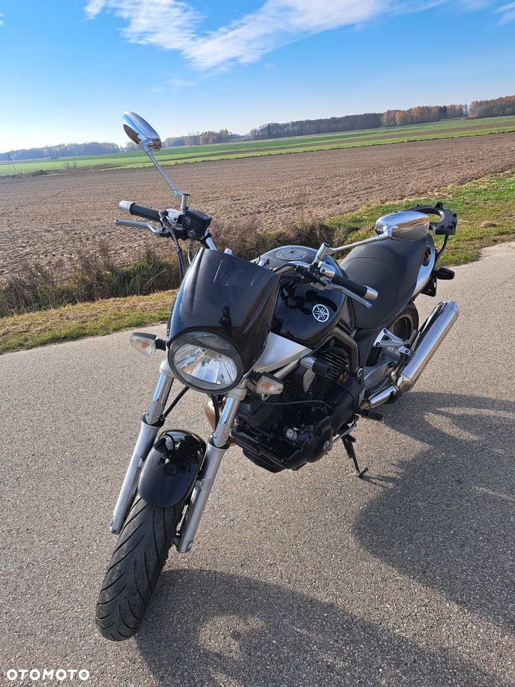 Yamaha Bulldog - 8