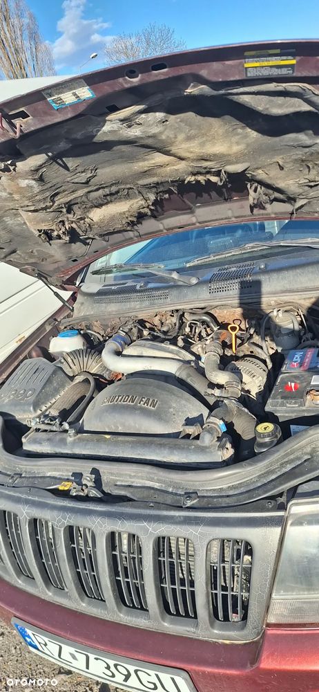 Jeep Grand Cherokee 3.1L TD Limited - 6