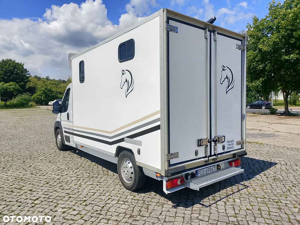 Fiat Ducato Koniowóz - 5