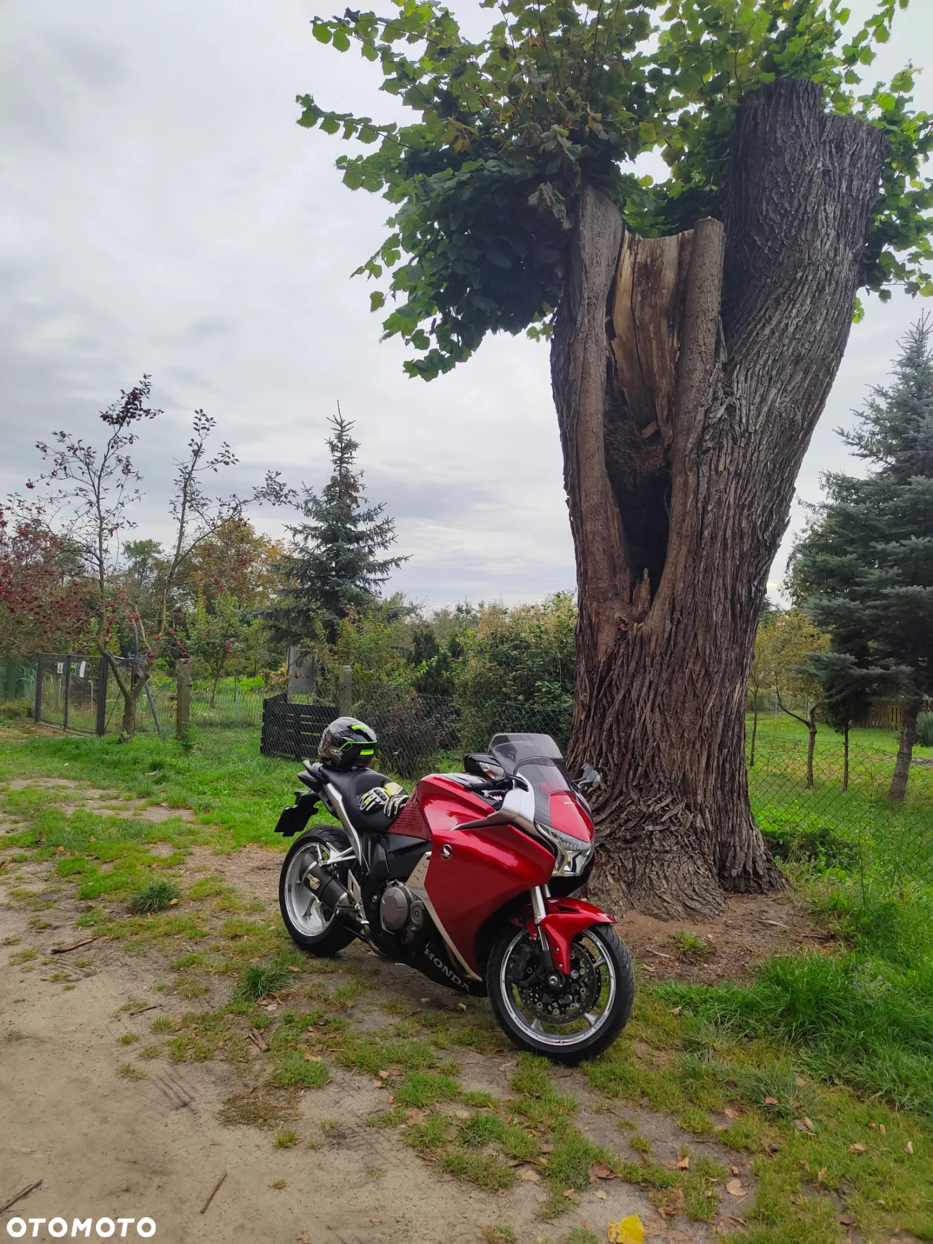 Honda VFR - 7