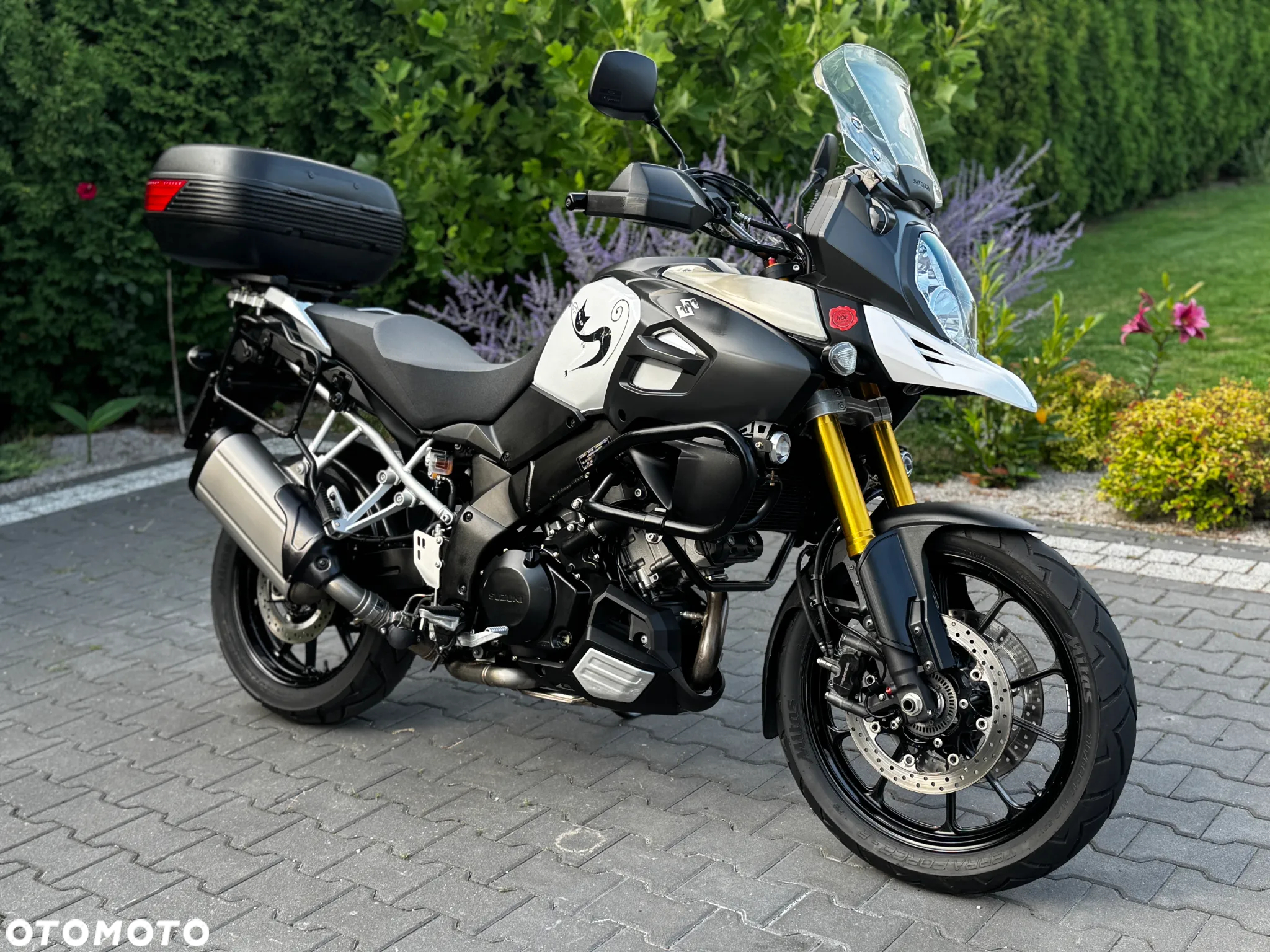 Suzuki V-STROM - 2