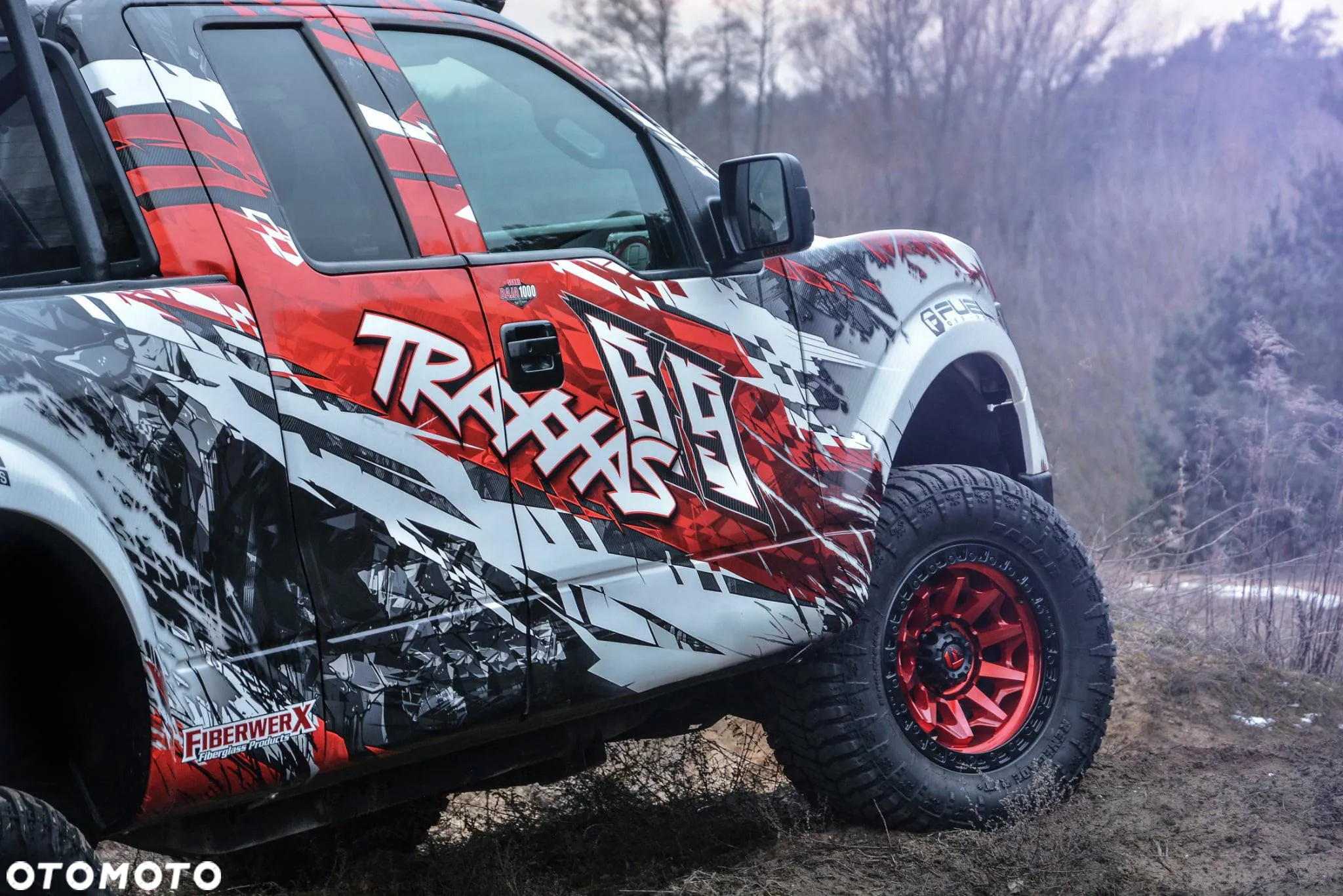 Ford F150 - 19