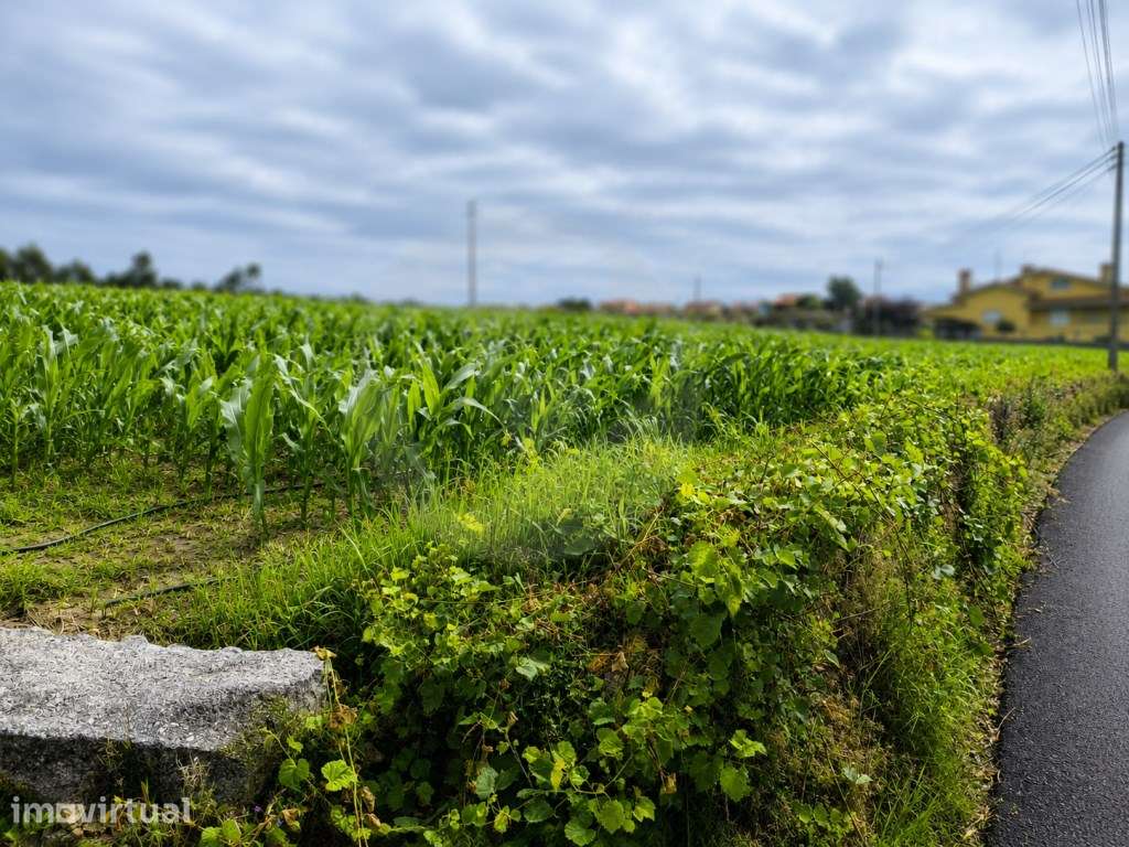 Fantástico Lote com 4.835 m² em Parada Vila do Conde - Grande imagem: 3/28