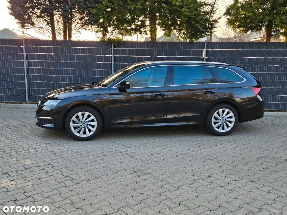 Skoda Octavia - 3
