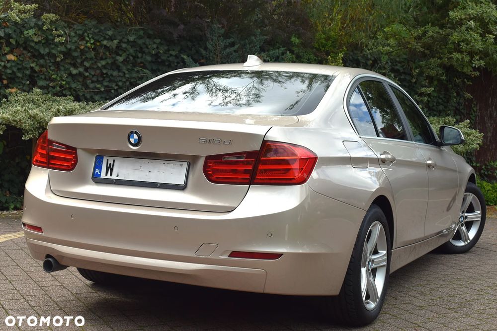 BMW Seria 3 318d Blue Performance Luxury Line - 18