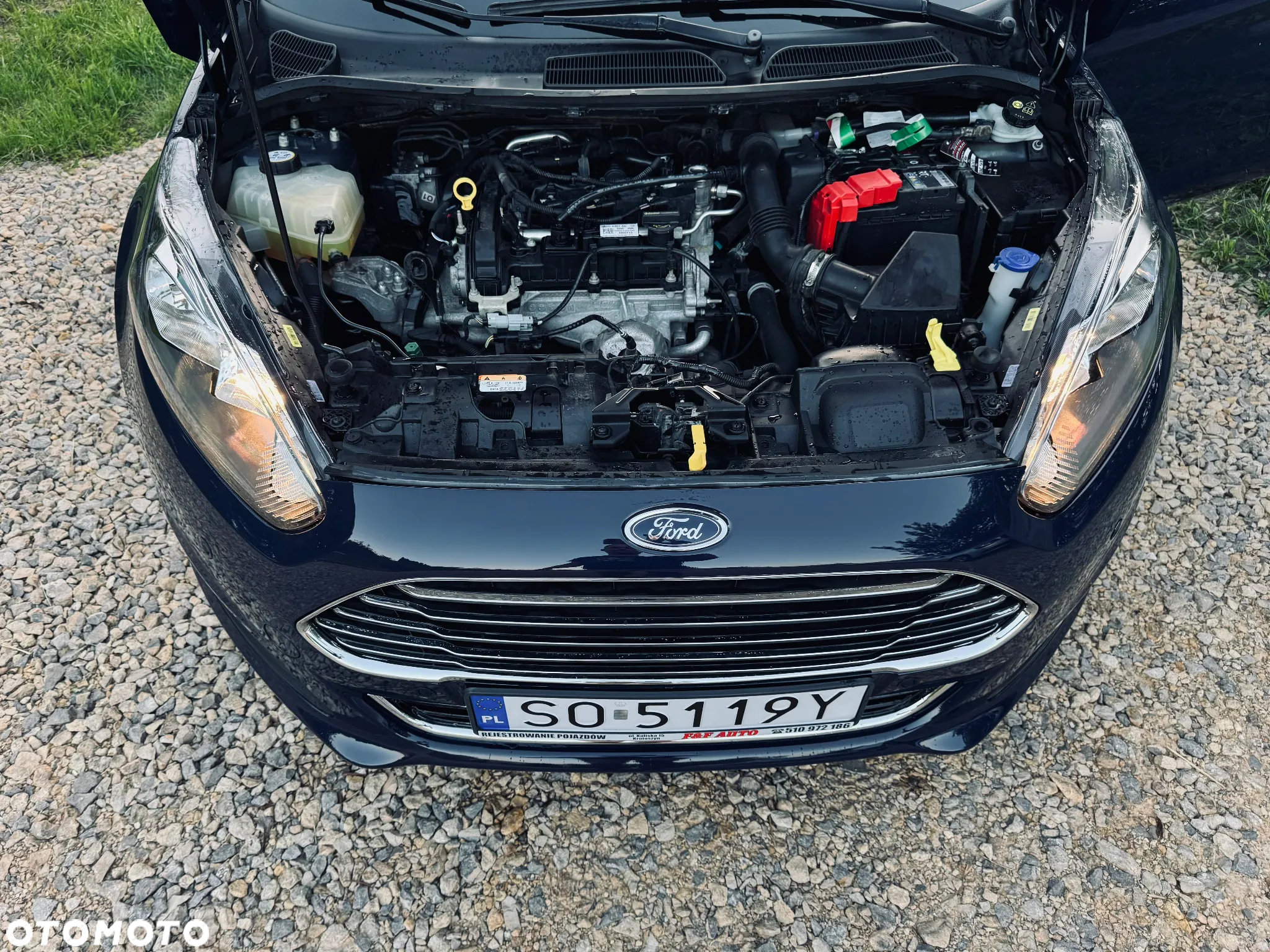 Ford Fiesta - 14