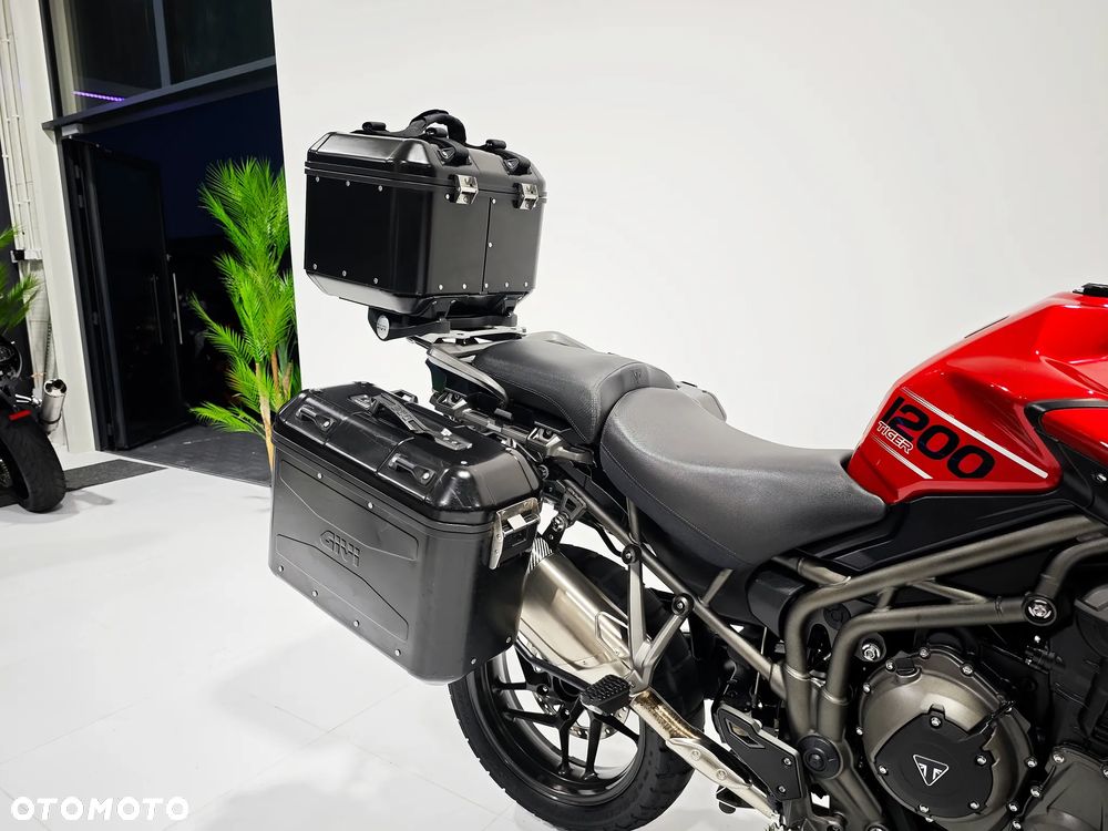 Triumph Tiger - 11